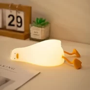 چراغ خواب شارژی اردک