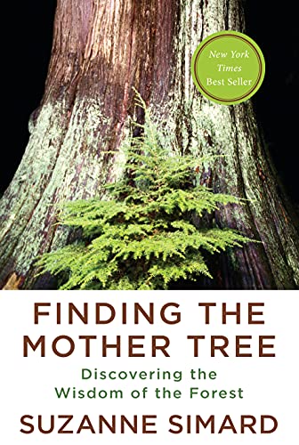 خرید و دانلود نسخه کامل کتاب زبان اصلی Finding the Mother Tree: Discovering the Wisdom of the Forest Kindle Edition | دانلود کتاب خارجی
